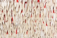 https://www.maaikefransen.com/files/gimgs/th-33__DSC3123.jpg